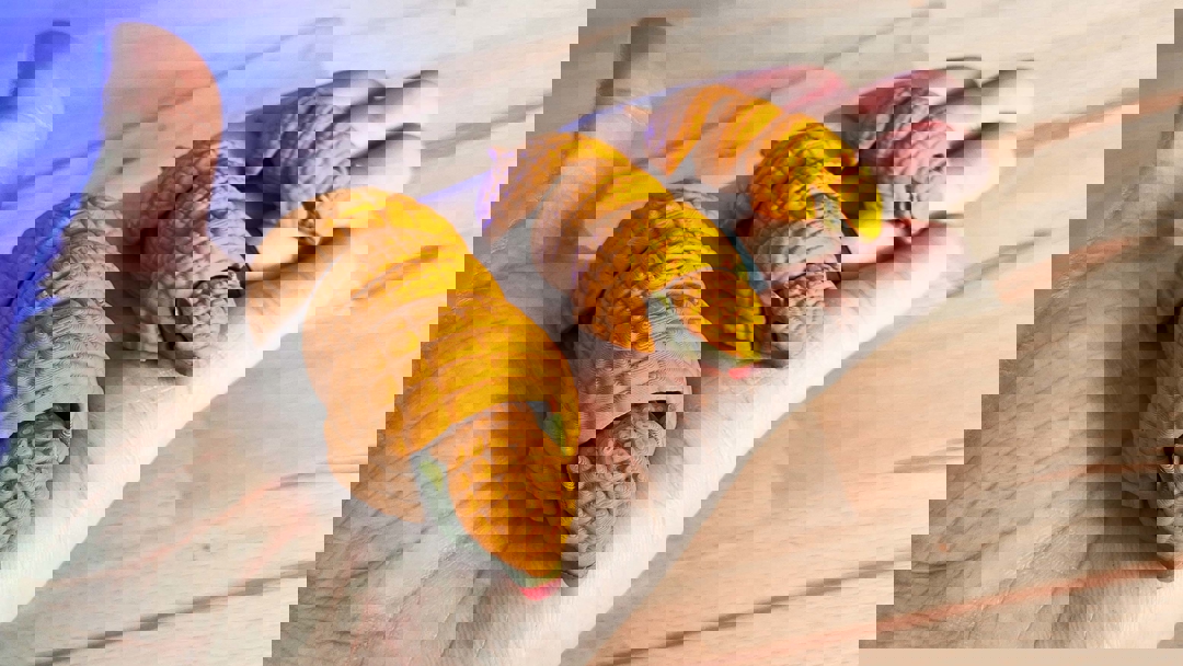 Image Articulated Armadillo