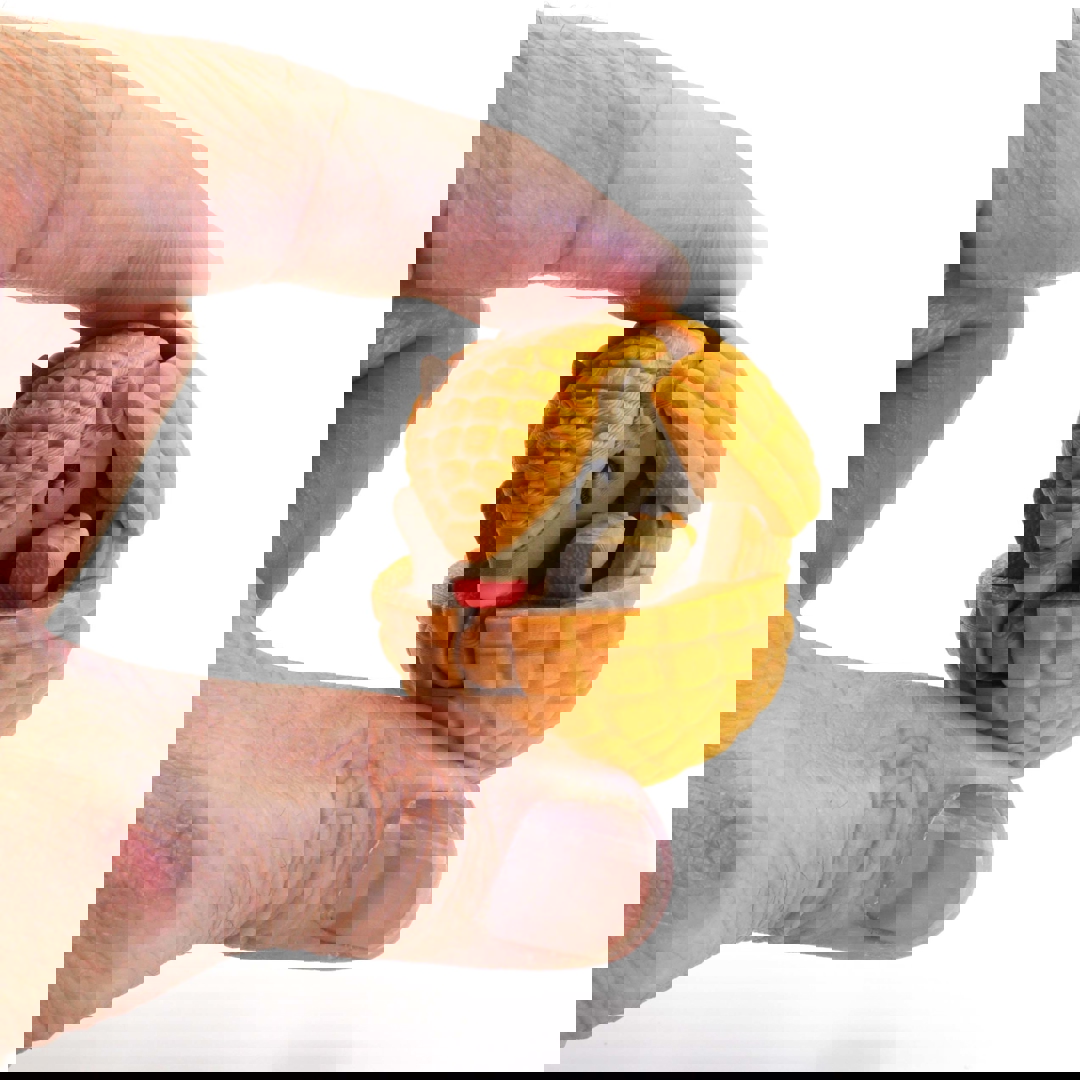 Image Articulated Armadillo