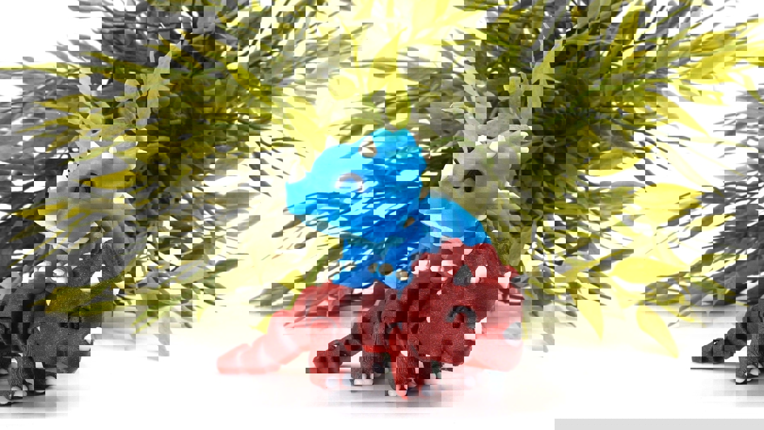 Image Tiny Triceratops