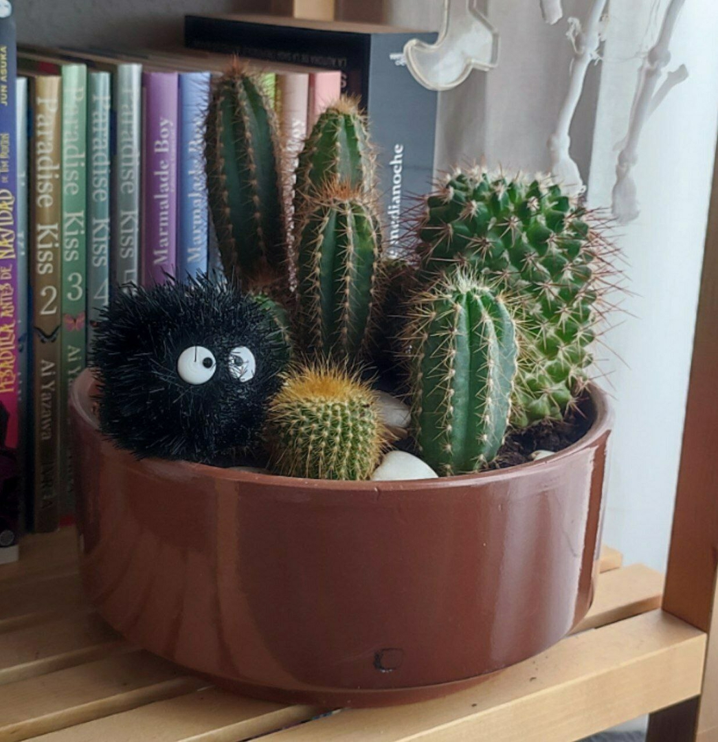 Image Susuwatari Ghibli Studios