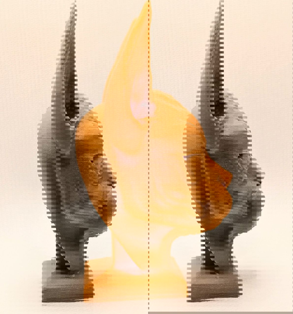 Image Sphynx Cat 3D Model for 3D Printing