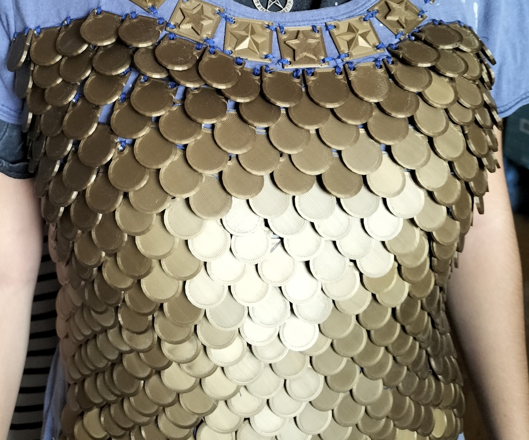 Model image 1 CHAIN MAIL, DRAGON SCALE.