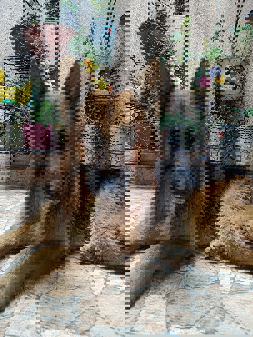 selected - Profile Image